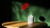 behnam-mohsenzadeh-4DCjLw9iidM-unsplash